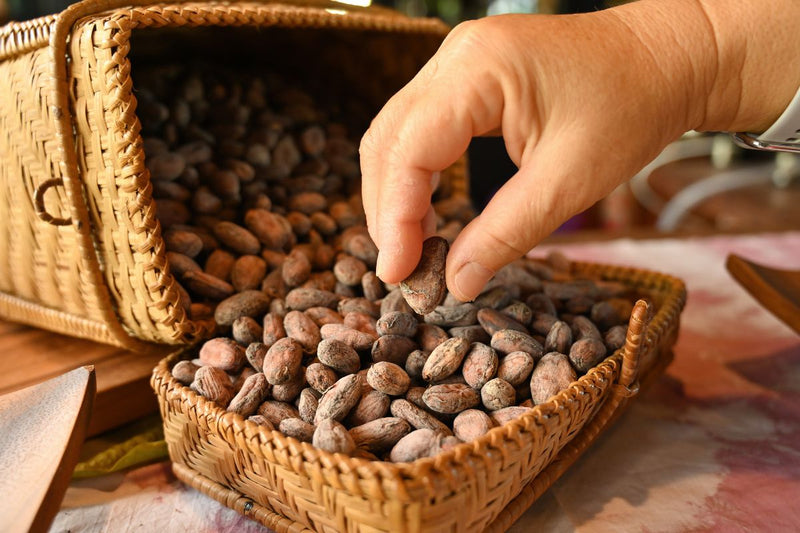 Dark Chocolate 101 : Complete Health Guide