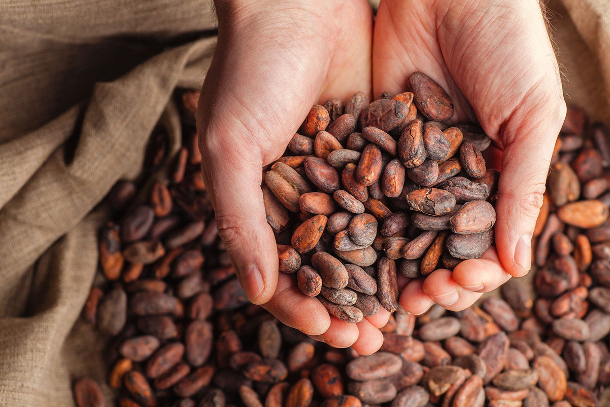 understanding chocolate percentage